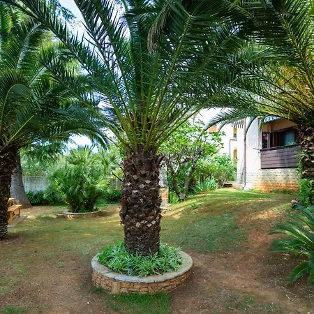 Apartamento With Parking Space - 7657 Medulin